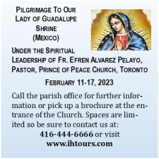 Pilgrimage to Mexico